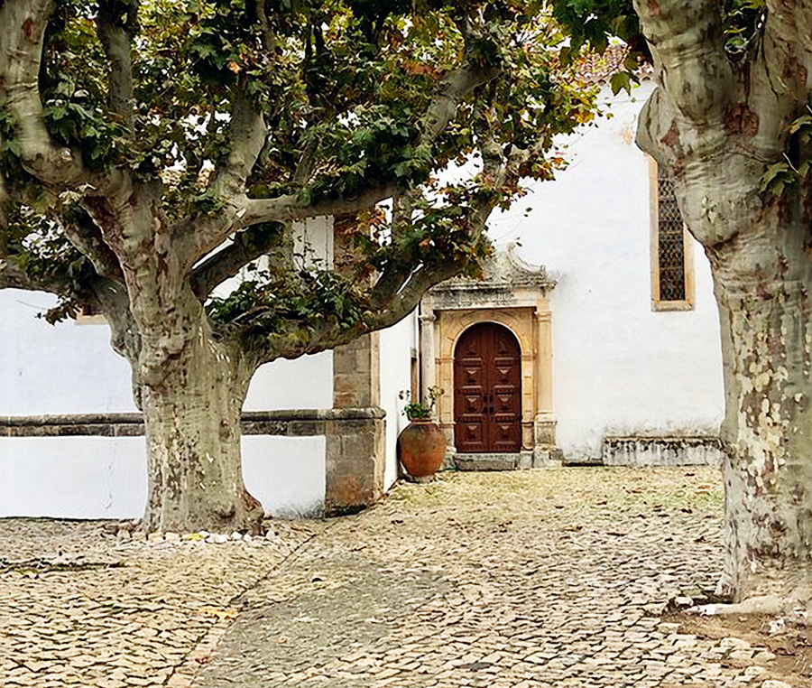 ../Images/YEH,HSIN-YI.Portugal.Obidos Village (12).jpg